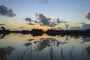 winding waters