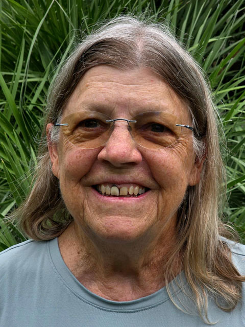 joanne davis