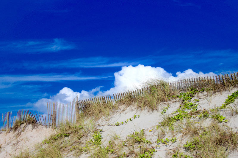 beach
