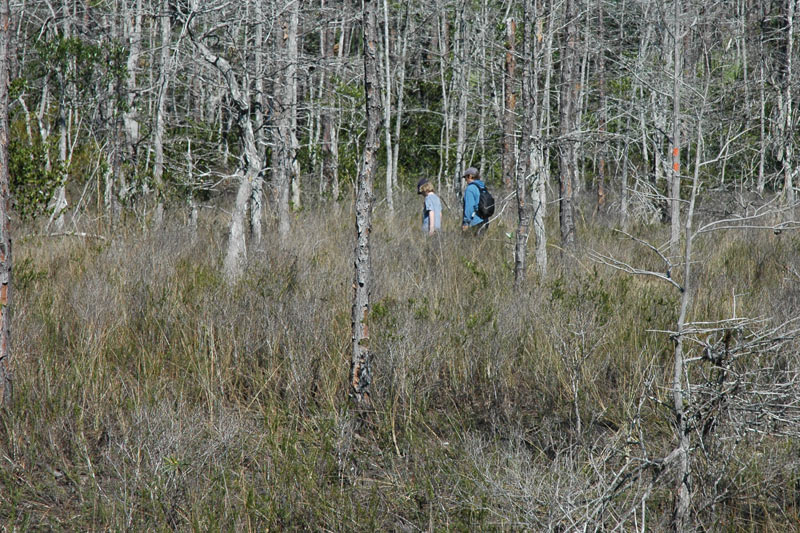 hike