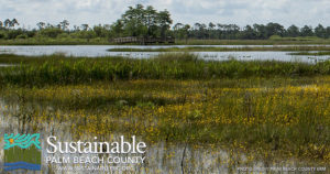 Sustainable Palm Beach County
