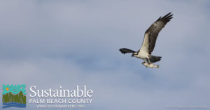 Sustainable Palm Beach County