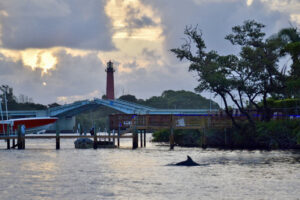 jupiter lighthouse