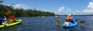 kayakers