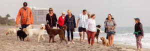 people walking on beach