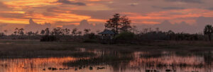 pine glades natural area