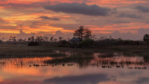 Pine Glades Natural Area